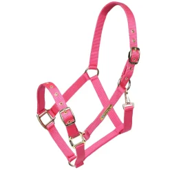 ARMA Adjustable Headcollar^Shires Equestrian Outlet