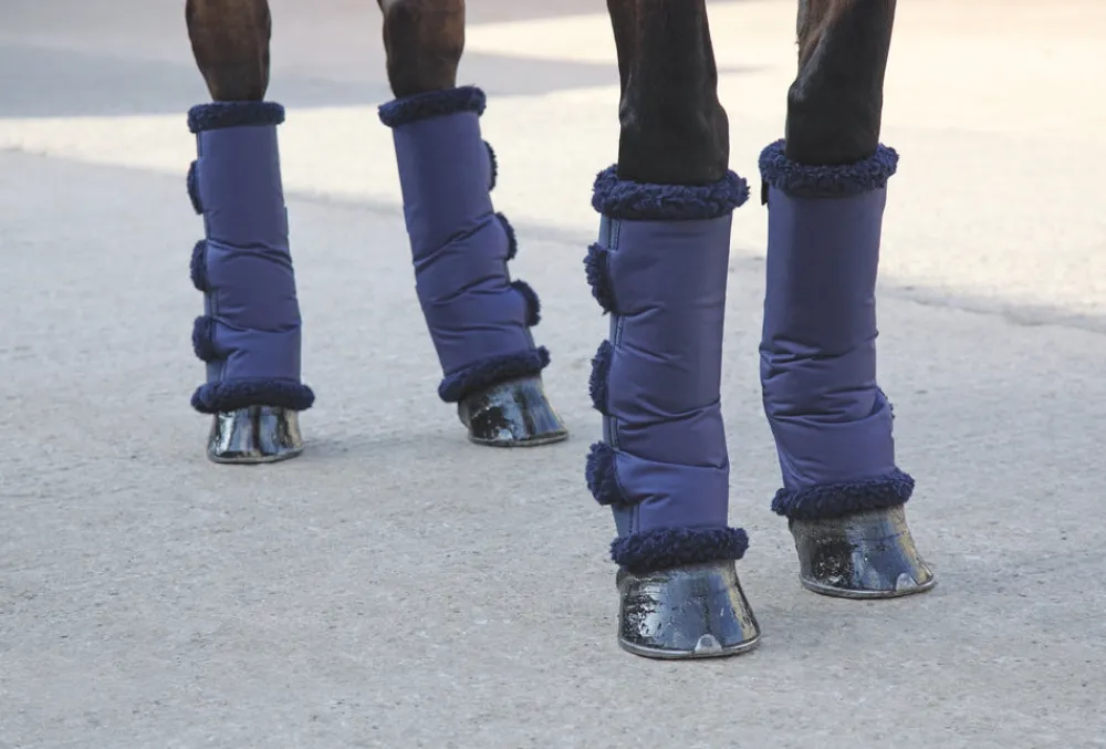 ARMA Comfort Short Travel Boots^Shires Equestrian Best