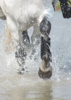 ARMA Cross Country Boots - Front^Shires Equestrian Sale