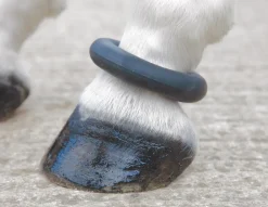 ARMA Fetlock Ring^Shires Equestrian Hot