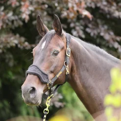 ARMA Fleece Headcollar & Lead Rope^Shires Equestrian New