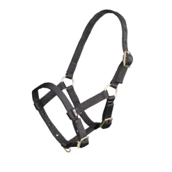 ARMA Foal Headcollar^Shires Equestrian Clearance
