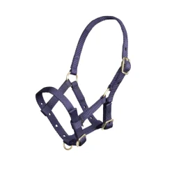 ARMA Foal Headcollar^Shires Equestrian Clearance