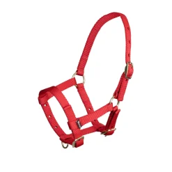 ARMA Foal Headcollar^Shires Equestrian Clearance