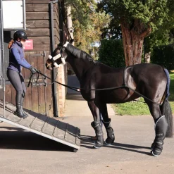 ARMA Loading Aid^Shires Equestrian Sale