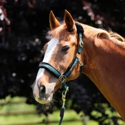 ARMA Logo Headcollar & Lead Rope^Shires Equestrian Clearance