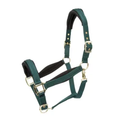 ARMA Padded Headcollar^Shires Equestrian Sale
