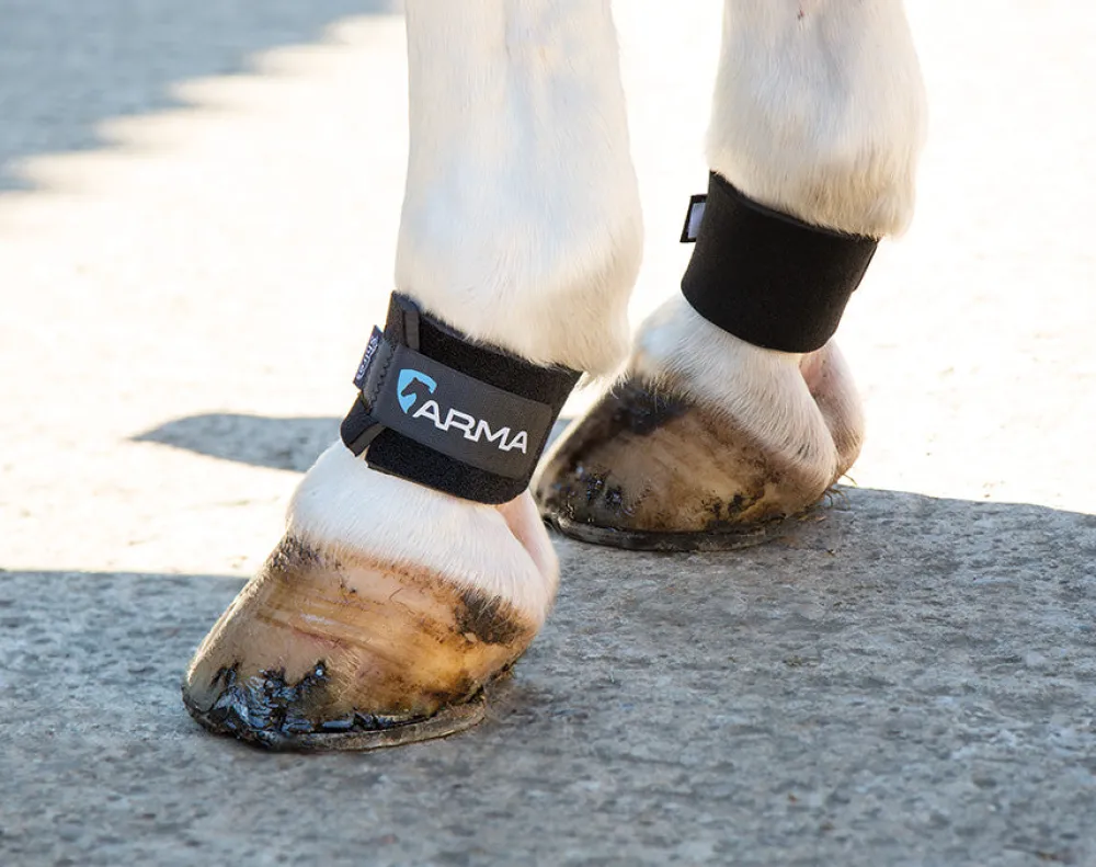 ARMA Pastern Wraps^Shires Equestrian New