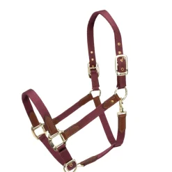 ARMA Porto Headcollar^Shires Equestrian Best