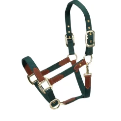 ARMA Porto Headcollar^Shires Equestrian Best