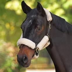 ARMA SupaFleece Halter Fleeces^Shires Equestrian Online