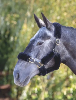 ARMA SupaFleece Halter Fleeces^Shires Equestrian Online