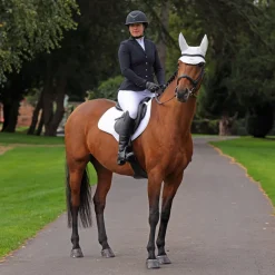 Aubrion Brixton Show Jacket^Shires Equestrian Clearance