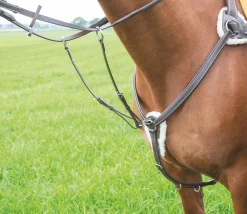 Avignon 5 Point Breastplate^Shires Equestrian Best