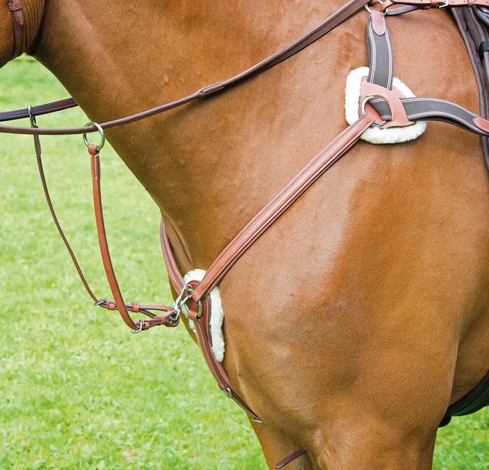 Avignon 5 Point Breastplate^Shires Equestrian Best