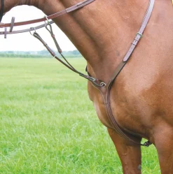 Avignon Breastplate^Shires Equestrian Discount