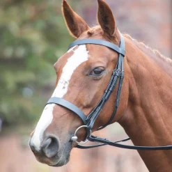 Avignon Hunter Cavesson Bridle^Shires Equestrian New