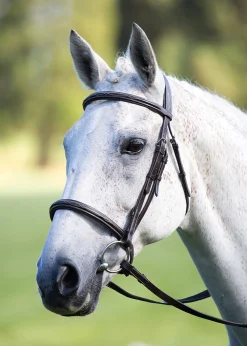 Avignon Raised Cavesson Bridle^Shires Equestrian Outlet