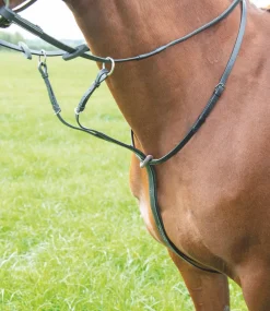Avignon Running Martingale^Shires Equestrian