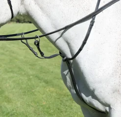 Avignon Running Martingale^Shires Equestrian