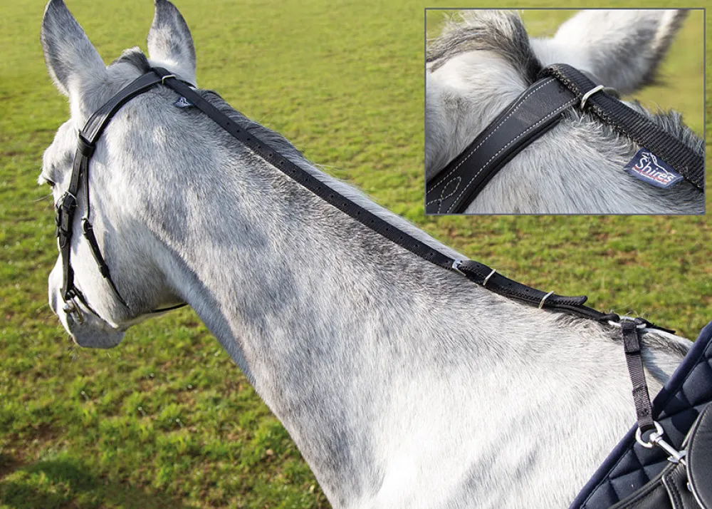 Daisy Rein^Shires Equestrian