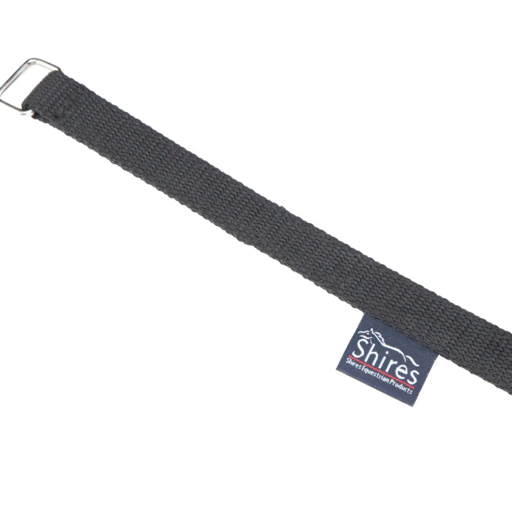 Daisy Rein^Shires Equestrian