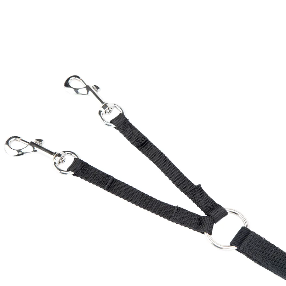 Daisy Rein^Shires Equestrian