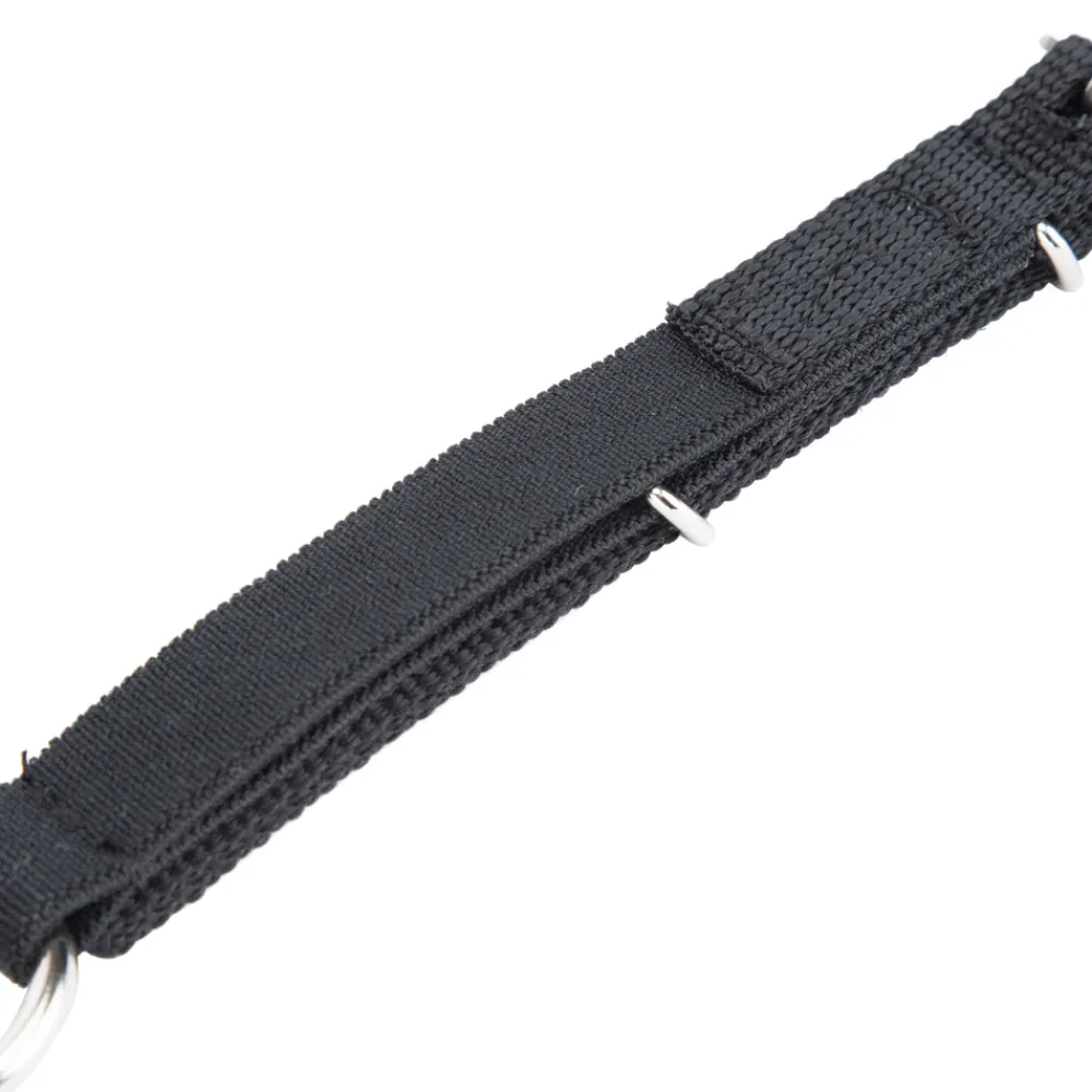 Daisy Rein^Shires Equestrian