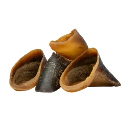 Digby & Fox Buffalo Hoof^Shires Equestrian Discount