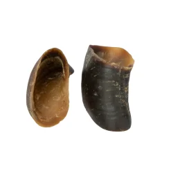 Digby & Fox Buffalo Hoof^Shires Equestrian Discount