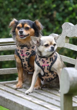 Digby & Fox Print Harness^Shires Equestrian Online