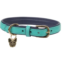 Digby & Fox Padded Leather Dog Collar^Shires Equestrian