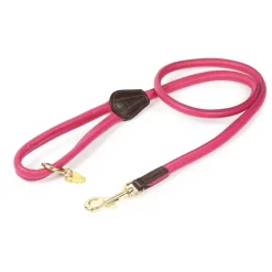 Digby & Fox Rolled Leather Dog Lead^Shires Equestrian Online