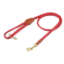 Digby & Fox Rolled Leather Dog Lead^Shires Equestrian Online