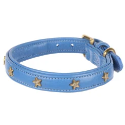 Digby & Fox Star Dog Collar^Shires Equestrian Outlet