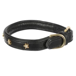 Digby & Fox Star Dog Collar^Shires Equestrian Outlet