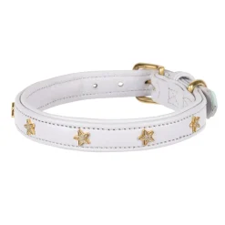 Digby & Fox Star Dog Collar^Shires Equestrian Outlet