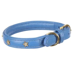 Digby & Fox Star Dog Collar^Shires Equestrian Outlet