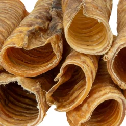 Digby & Fox Trachea^Shires Equestrian New