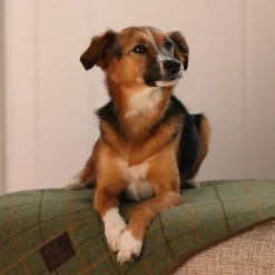 Digby & Fox Tweed Blanket^Shires Equestrian Online