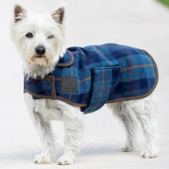 Digby & Fox Tweed Dog Coat^Shires Equestrian Online