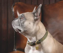 Digby & Fox Tweed Dog Collar^Shires Equestrian Online