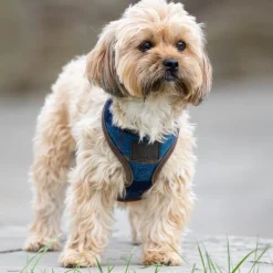 Digby & Fox Tweed Dog Harness^Shires Equestrian Discount