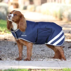 Digby & Fox Waterproof Dog Coat^Shires Equestrian