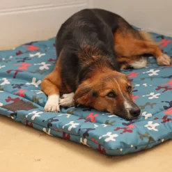 Digby & Fox Waterproof Padded Dog Bed^Shires Equestrian Clearance