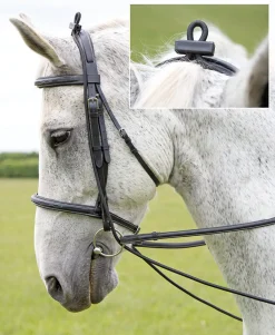 Elastic Training Reins^Shires Equestrian Clearance