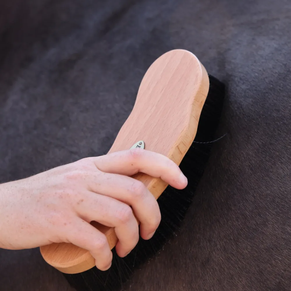 EZI-GROOM Premium Dandy Brush^Shires Equestrian Discount