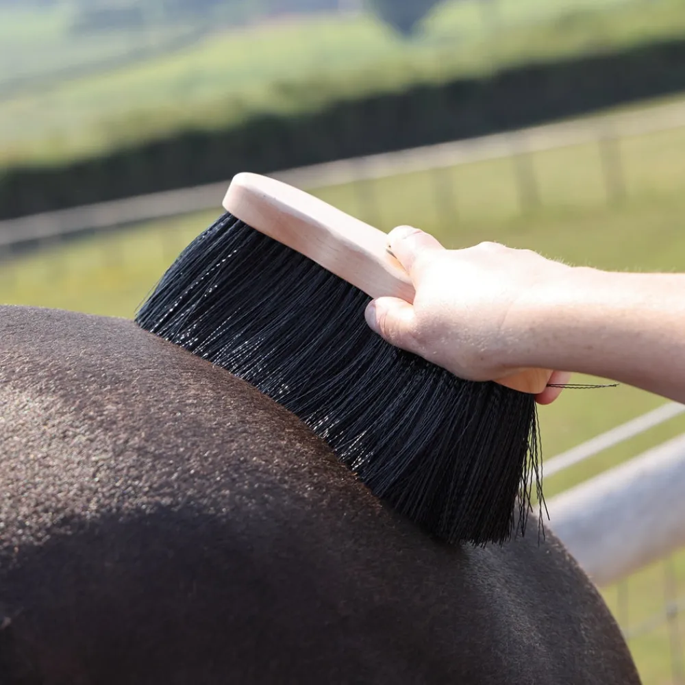 EZI-GROOM Premium Long Dandy Brush^Shires Equestrian Hot