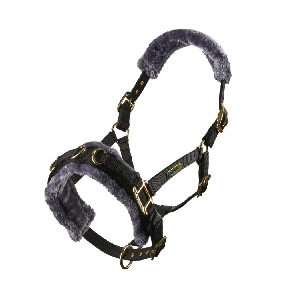 Fleece Lined Lunge Cavesson^Shires Equestrian Online