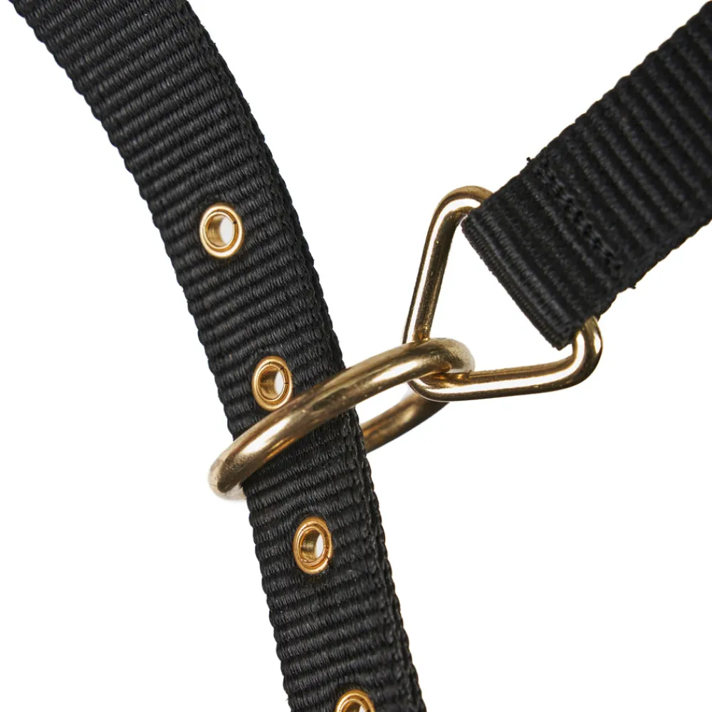 Fleece Lined Lunge Cavesson^Shires Equestrian Online